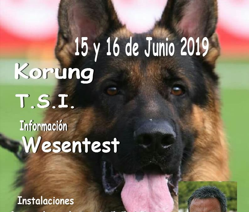 Delegación Extremadura Körung,TSI,AD