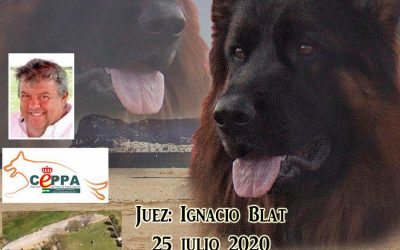 Abierta Inscripciones Delegación Andalucia Körung