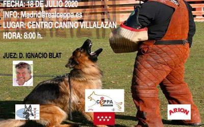 Abierta Inscripciones Delegación Madrid Körung