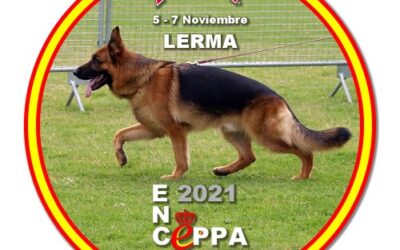 Comunicado oficial  SIEGERSCHAU 2021 y APTITUD DE CRÍA