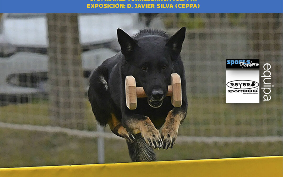 Información Importante CNT,CNU 2021 y Siegerschau Jueces 2021