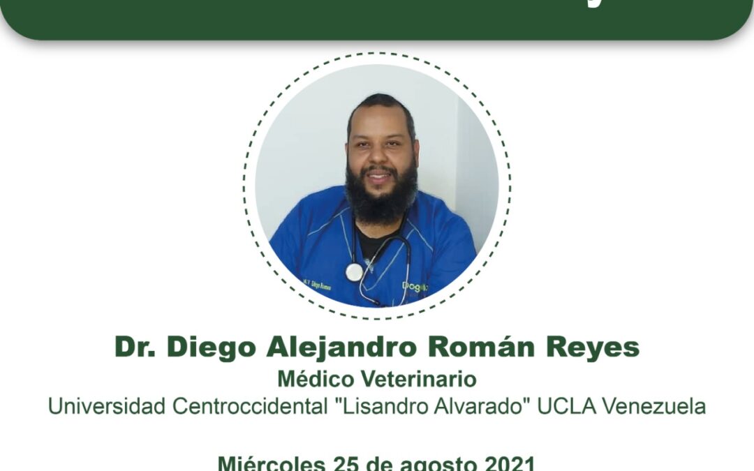 Curso Organizado por Coapa