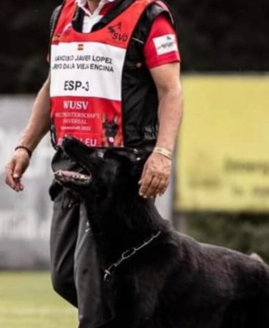 Hoy fallecido el perro Harpo de la Vieja Encina