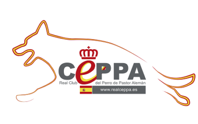 TALLER DE DISCIPLINA DE BUSQUEDA (STPR)