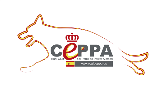 TALLER DE DISCIPLINA DE BUSQUEDA (STPR)