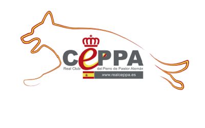 Proceso Electoral REAL CEPPA 2024