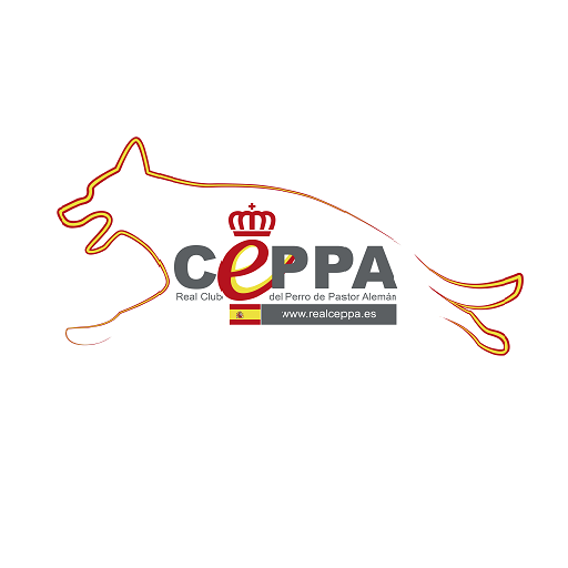 Convocatoria Asamblea General Extraordinaria del Club 17/08/2024